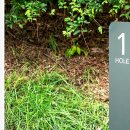 골프사랑연습장 이미지