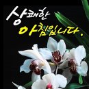 상쾌한아침