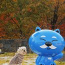 자연친화코스1 이미지