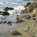 바닷가펜션 이미지