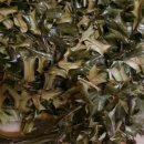 홀리호랑 이미지