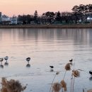 씽씽 리프레쉬 이미지