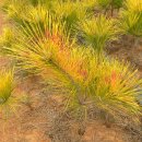 보광농원 이미지