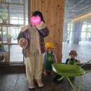 꿀등목장 네이버블로그