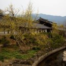 운조루 Daum카페
