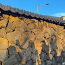 김녕 몽생이 이미지