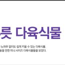 소담다육