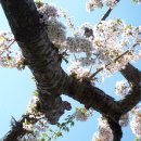 전남대학교병원1주차장 이미지