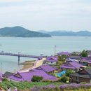 오감연결길 공중화장실 | 전남 신안 퍼플섬 공원 축제기간 주차 즐길거리 꿀팁