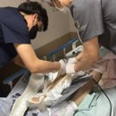 압구정노트정형외과의원 이미지