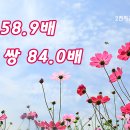 럭키백산슈퍼