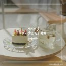 식물가게;릴트 | 샤로수길 첫 방문 후기- Lilt 카페, 아열대 카페