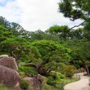 소나무정원 이미지