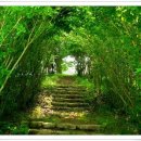 창녕 망우정 이미지