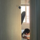 연희동 행정복지센터 이미지