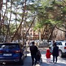 돌담 한방병원 이미지