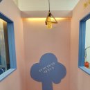 유폴 24시 애견셀프목욕 동천점 이미지