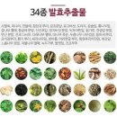포퀸