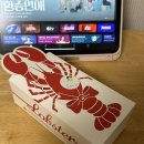 역전게임장 | 2025년 12월의 일상