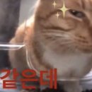 류스킨앤바디