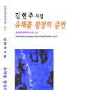 유채꽃 광장의 증언 / 김현주 시집 이미지