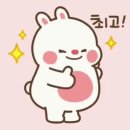 거제의료기