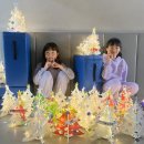 경희대한결태권도 이미지