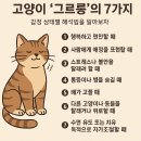그르릉 이미지