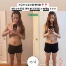 벨리라잇 디톡스환 내돈내산후기 12~15 막차타세요