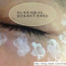 데저트크림 1 네이버블로그