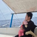 차지킴이 | [아기랑 보홀 여행③] 보홀지킴이 호핑투어 내돈내산 후기, 나무카페, 헤난 근처 맛집 토토에페피노