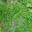 뽑기 좋은날 이미지