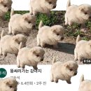 연휴: 내가 없어져 볼게! 하나 둘 셋 얍!