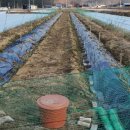 개토농장 이미지