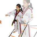 브레인박사태권도 이미지