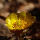 내태2리 이미지