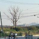 연미정 민박 이미지