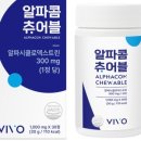 식후 상큼하게 마무리 알파CD 비보 츄어블 알파콤 후기