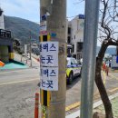 한길농원 | 거제 3월 핫플 거제 공곶이 3월 16일 후기 [공곶이 수선화축제]