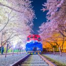 진해구 ⓒ-7 이미지