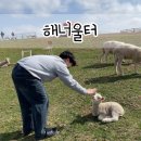 법인울산양떼목장