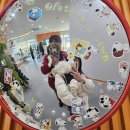 펫프닝 타운 | [천안 애견카페] '펫프닝 타운' 애견카페 방문 후기