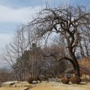 부석사삼층석탑 이미지