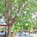 강가포근한집 이미지