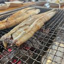 다미장어 이미지