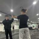 슈가복싱 프리미엄 이미지