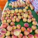 김경식 농장 이미지