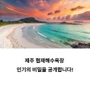 라온제나 민박 | 감성사진부터 힐링까지, 협재 숙소로 완성되는 제주여행