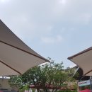 찬앤진 | 발렌티노 신발, 토리버치 등 (여주 신세계 프리미엄 아울렛 구입)