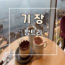 바다뷰 부산 기장 해안로 디저트 카페 팜트리 후기